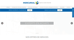 Desktop Screenshot of mercurial.fr